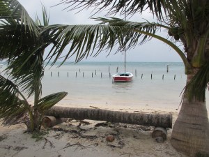 Caye Caulker